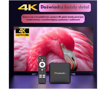 KINEVIA EVOLVE BOX™ - Kino Domowe